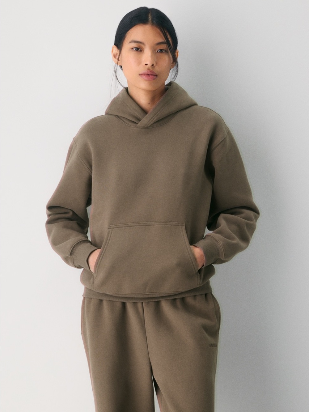 ARITZIA COZY SWEATFLEECE PERFECT HOODIE IN COLA TAUPE